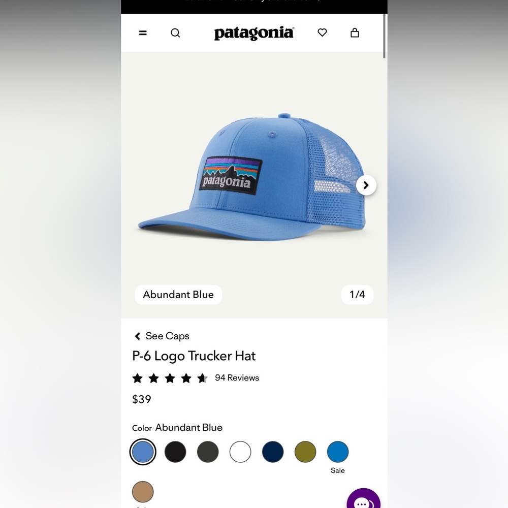 Patagonia P-6 Logo Trucker Hat